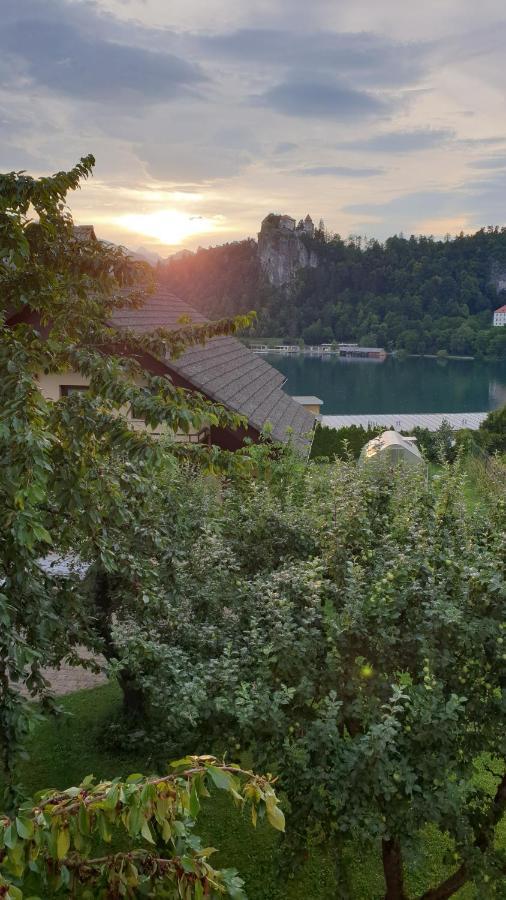 Villa Anna Bled Exterior foto